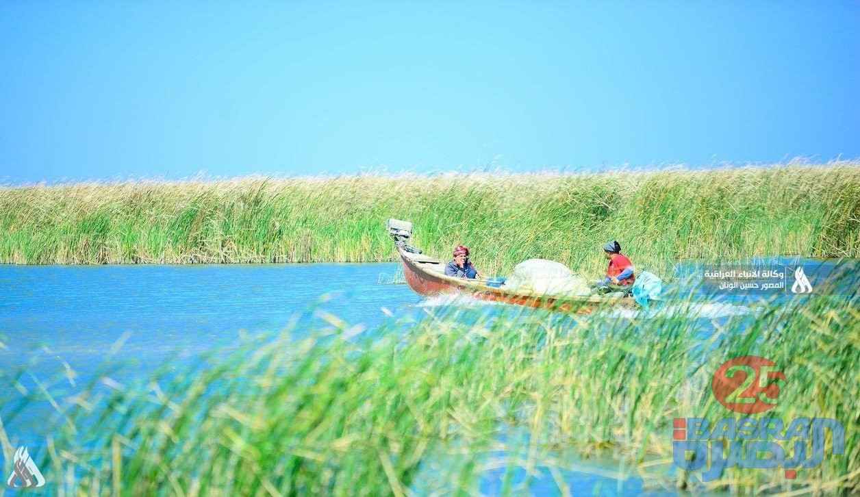 اهوار العراق